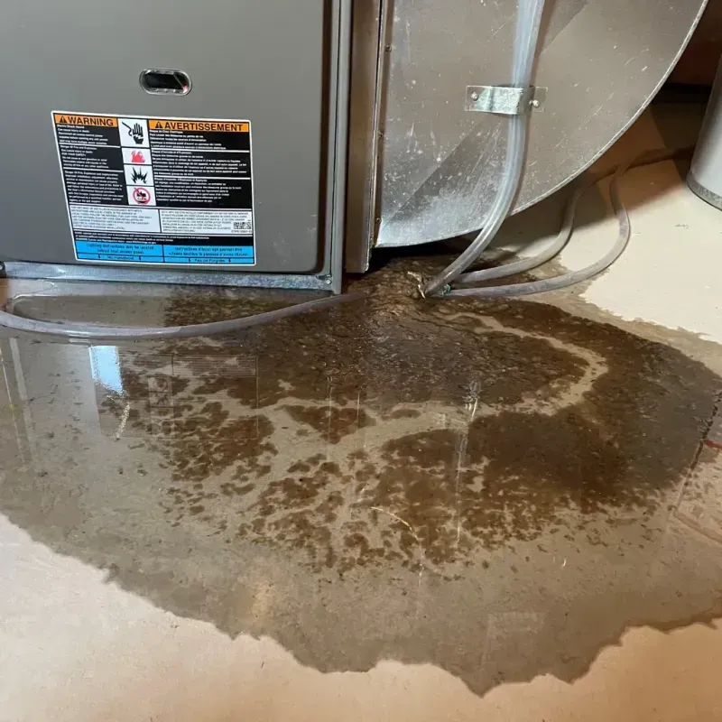 Appliance Leak Cleanup in Luling, TX